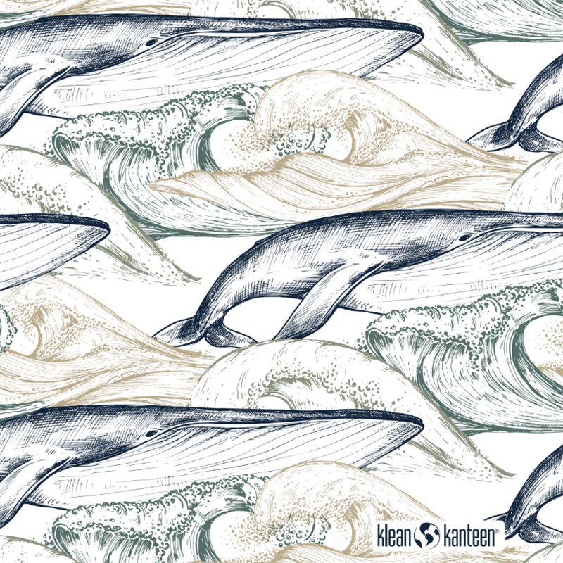 20oz-tkwide-with-twist-cap-ocean-day-n8 20oz_tkwide_bottle_seasonal_ocean_day_whale_artwork_square.png